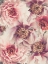 Picture of VINTAGE PEONIES 3