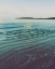 Picture of GROW CALM 1