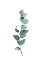 Picture of TENDER LEAVES 3