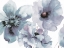 Picture of FLOWERING BLUE HUES