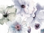 Picture of FLOWERING BLUE HUES 2