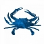 Picture of NAVY CRAB
