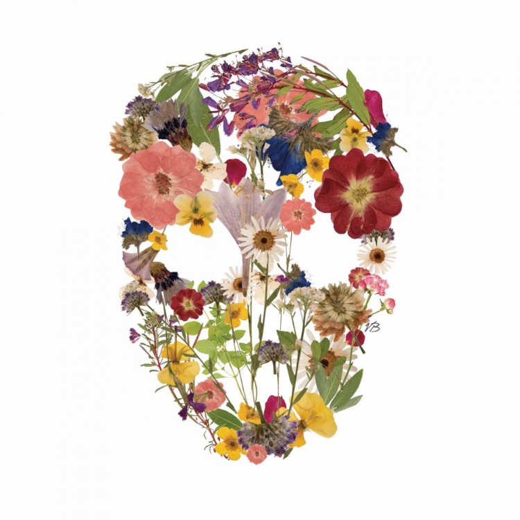 Picture of FLOWERSKULL 3