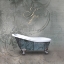 Picture of SILVER BATH 2