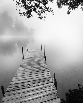 Picture of FOGGY DOCK BW 1