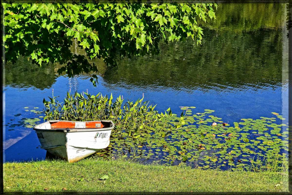 Somerset House - Images. COUNTRY POND ROW BOAT