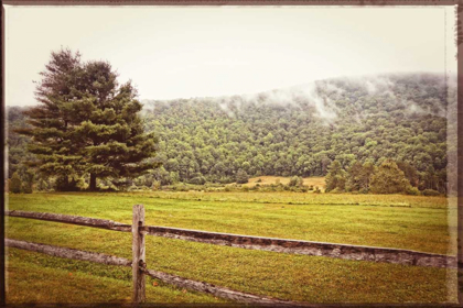 Picture of MORNING MOUNTAIN SMOKE VINTAGE