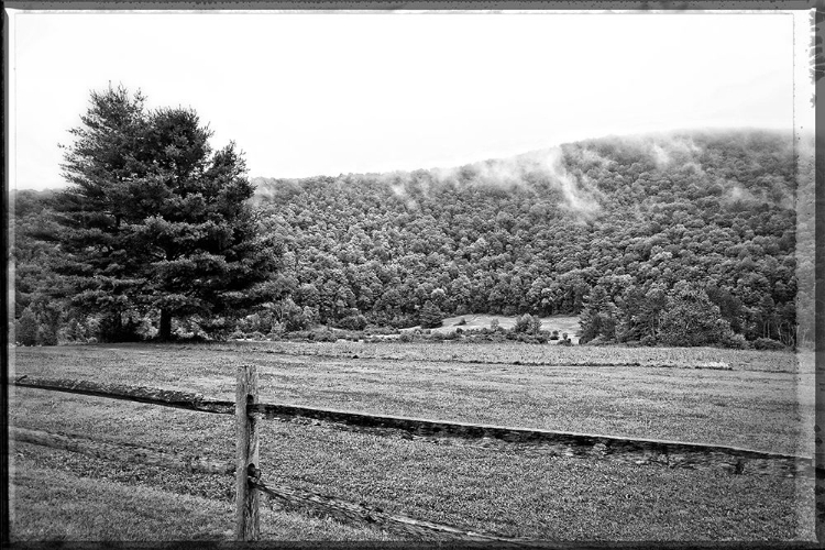 Picture of MORNING MOUNTAIN FOG