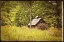Picture of COUNTRY BARN 1 VINTAGE