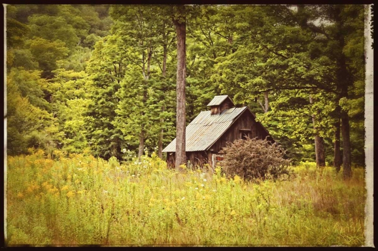 Picture of COUNTRY BARN 1 VINTAGE