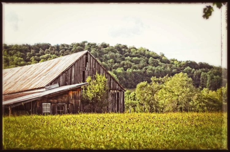 Picture of COUNTRY BARN 4 VINTAGE