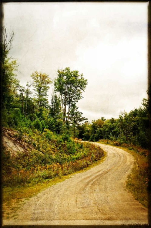 Picture of WINDING COUNTRY ROAD