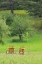 Picture of MOUNTAIN CHAIRS 3