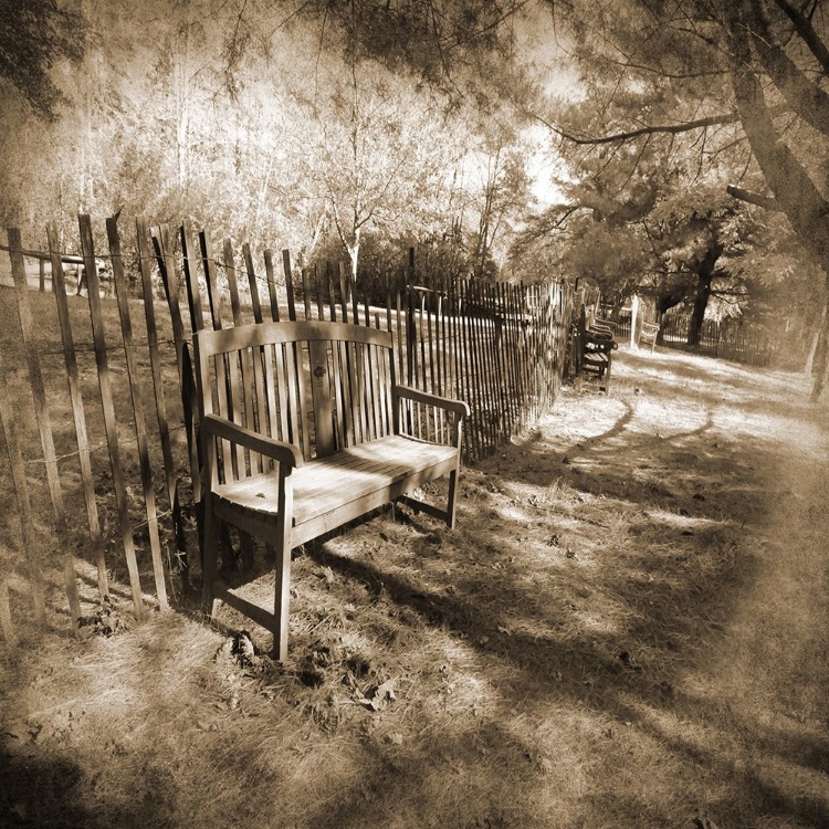 Picture of PARK BENCH