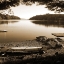 Picture of CANOE ON SHORE SEPIA