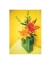 Picture of DAY LILIES