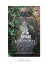 Picture of GARDEN GATE