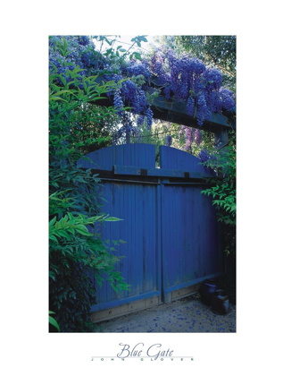 Picture of BLUE GATE