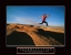 Picture of DETERMINATION - RUNNER