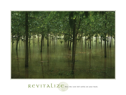 Picture of REVITALIZE - FOREST