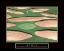 Picture of AGONY - GOLF TRAPS