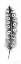 Picture of SPIRIT FEATHER VIIIA