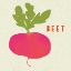 Picture of SUMMER VEGETABLE I