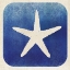 Picture of WATERMARK STARFISH