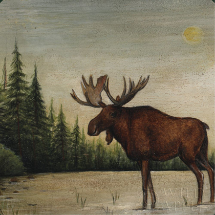 Picture of NORTH WOODS MOOSE II