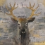 Picture of THE LEADER GOLD LIGHT GREY