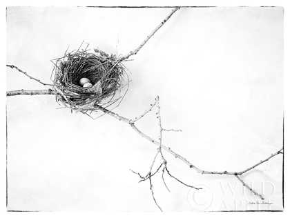Picture of NEST AND BRANCH I V2