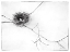 Picture of NEST AND BRANCH I V2