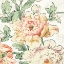 Picture of COTTAGE ROSES VI