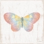 Picture of WHITE BARN BUTTERFLIES I