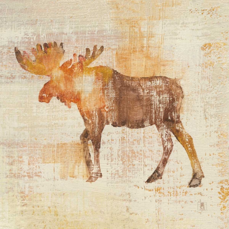 Picture of MOOSE STUDY