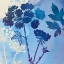 Picture of BLUE SKY GARDEN III