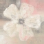 Picture of NIMBUS BLOOM II