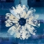 Picture of OCEAN BLOOM II