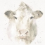 Picture of FARM FRIENDS II NEUTRAL