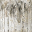 Picture of THE FOREST II NEUTRAL
