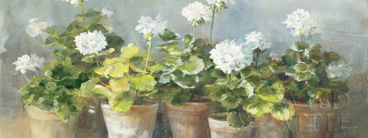 Picture of WHITE GERANIUMS V2