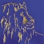 Picture of GILDED LION INDIGO