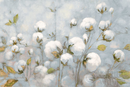 Picture of COTTON FIELD BLUE GRAY