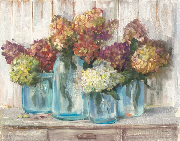 Picture of HYDRANGEAS IN GLASS JARS WHITE WOOD