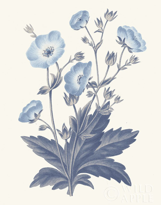 Picture of BLUE BOTANICAL VI