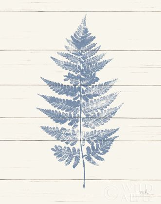 Picture of FERN PRINT I BLUE CROP