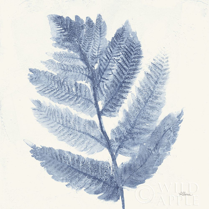 Picture of FOREST FERNS I BLUE