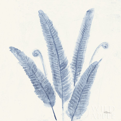 Picture of FOREST FERNS II V2 BLUE