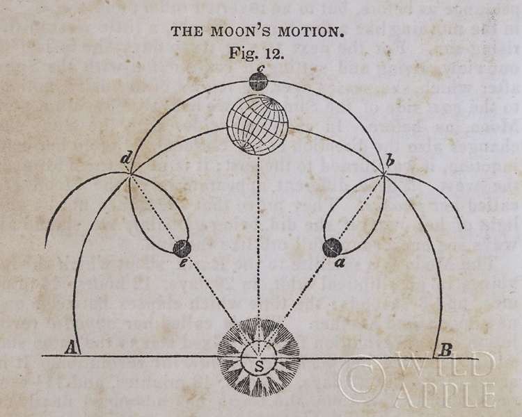 Picture of GEOGRAPHY OF THE HEAVENS VIII