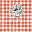 Picture of SKETCHBOOK GARDEN VIII RED CHECKER